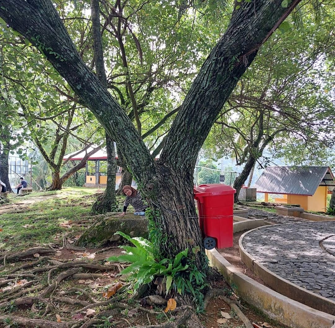 Foto Pendukung 3