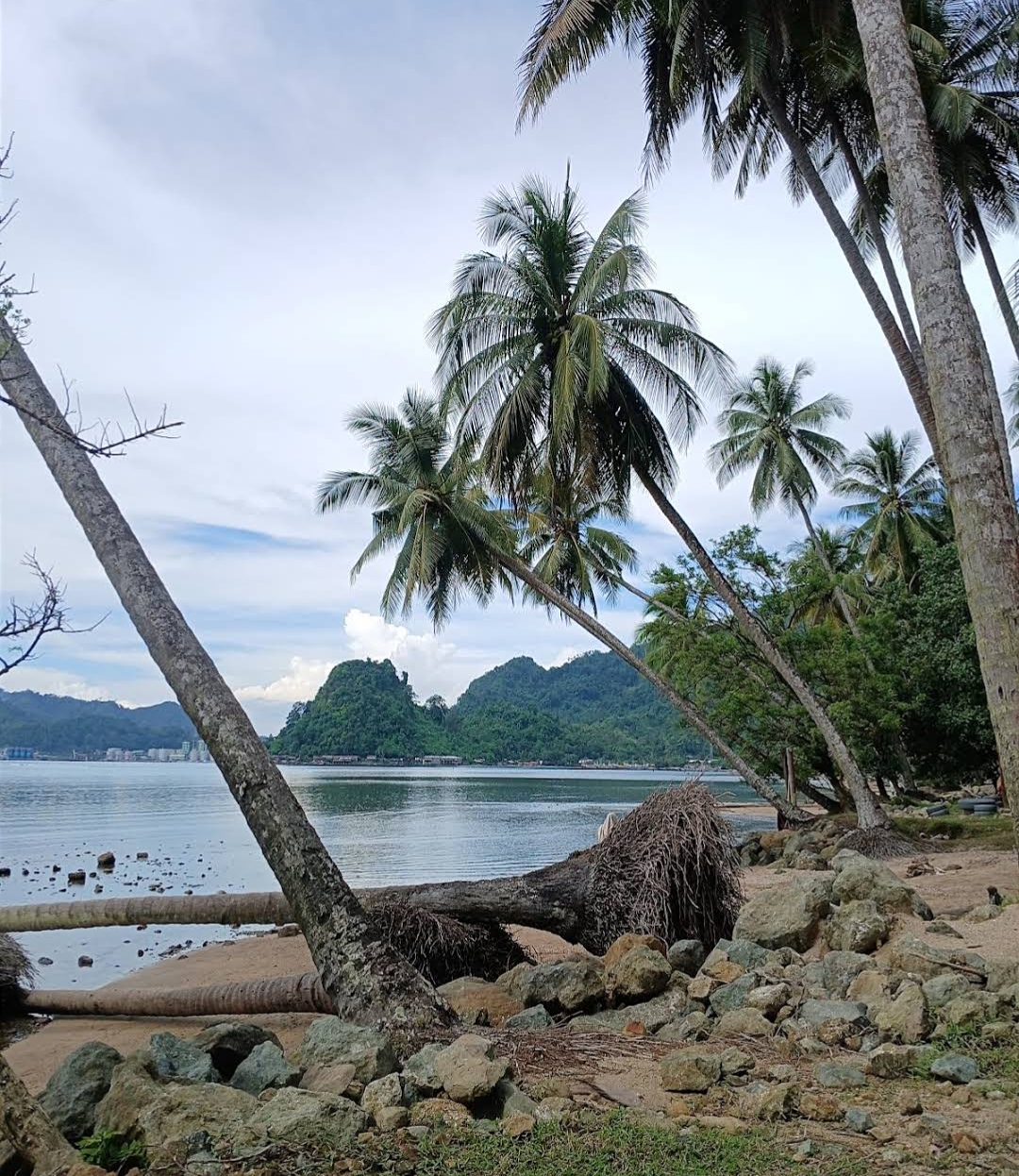 Foto Pendukung 3