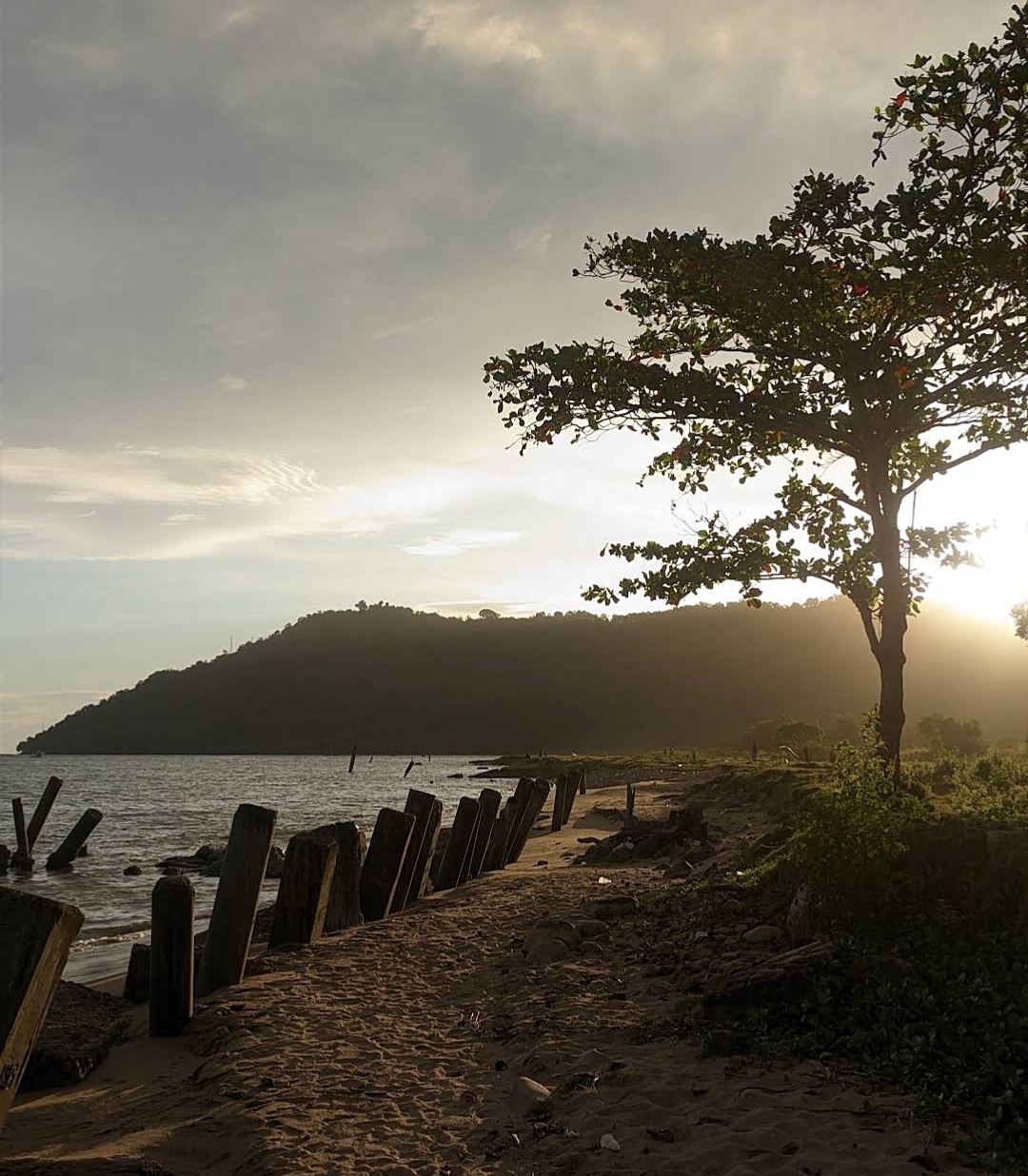 Foto Pendukung 3